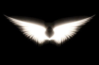 ۞༺ الــــــمــــــجــــــلــــــس ༻۞