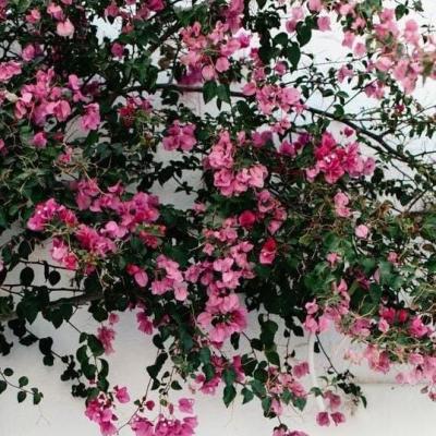 تٌـلَتٌـيِّنِ يـﮯومـ🌙🤍