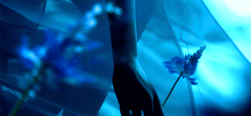 💀𝐆𝐀𝐍𝐆 𝐐𝐔𝐄𝐄𝐍💀