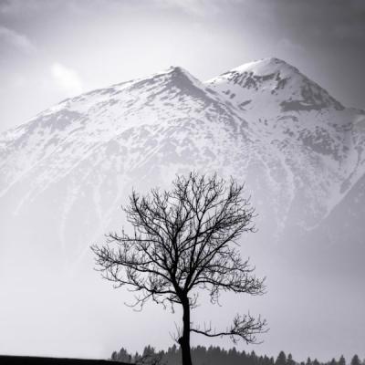 عزله اوبسيكورا