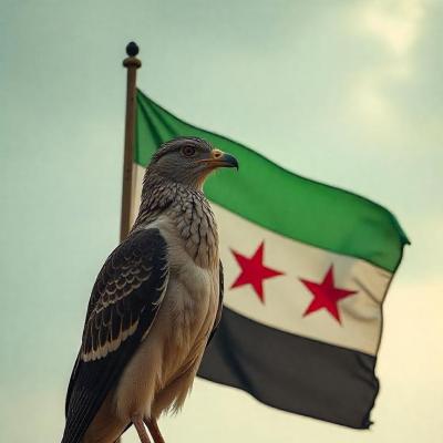 شات سوريا SY مباشر كتابي - تعارف بنات وشباب سوريين