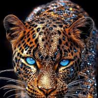 👑✨ 𝑅𝑜𝓎𝒶𝓁 𝒮𝑜𝒸𝒾𝑒𝓉𝓎 ✨👑