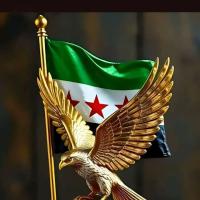 شات سوريا SY مباشر كتابي - تعارف بنات وشباب سوريين