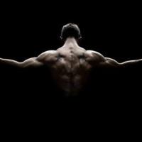 ☬الزعــــــــــــيـــــــــــــم☬