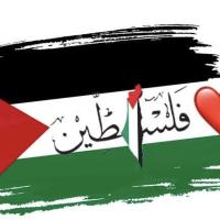 فلسطين  💚✌️💚🇵🇸
